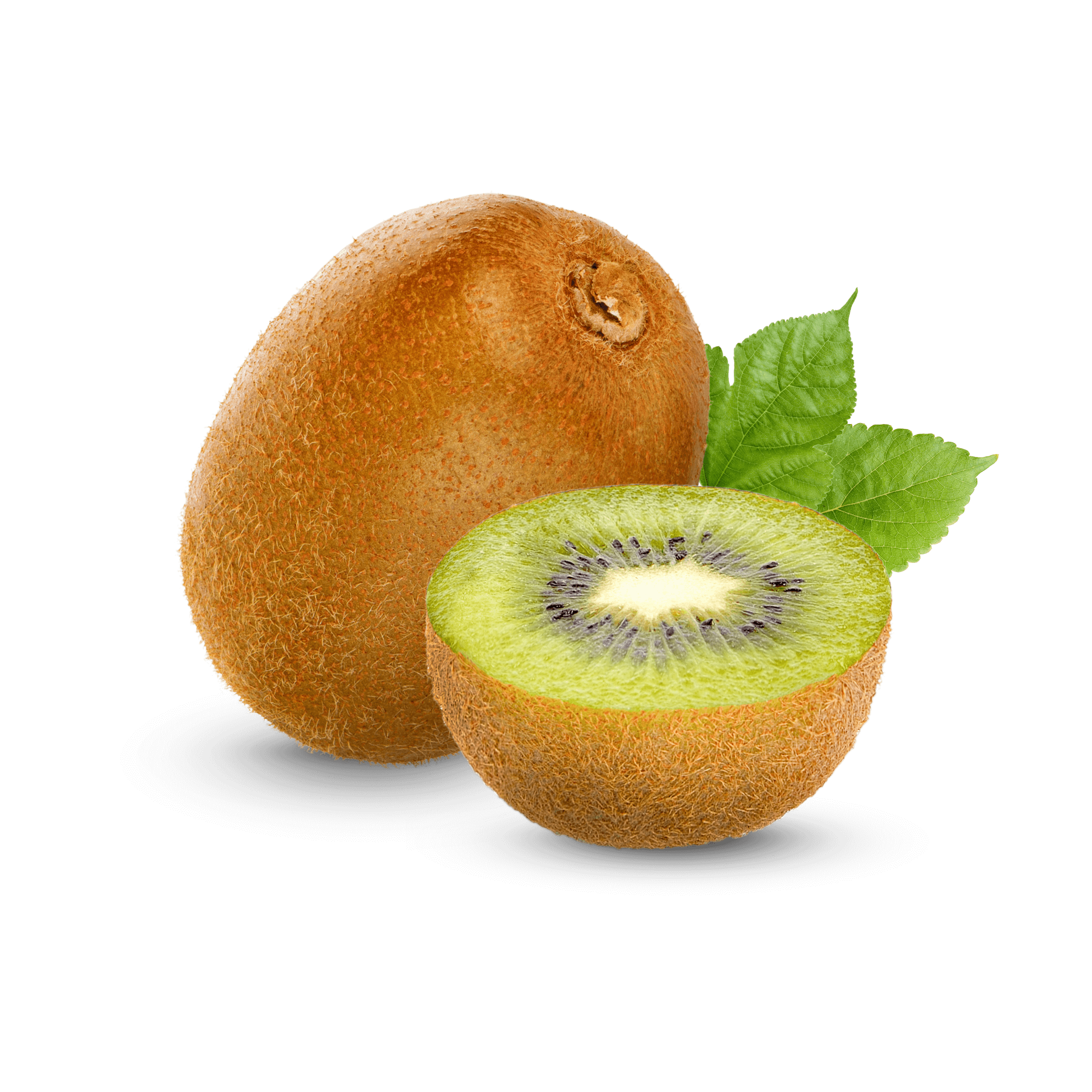 Temporibus doloribus dolores