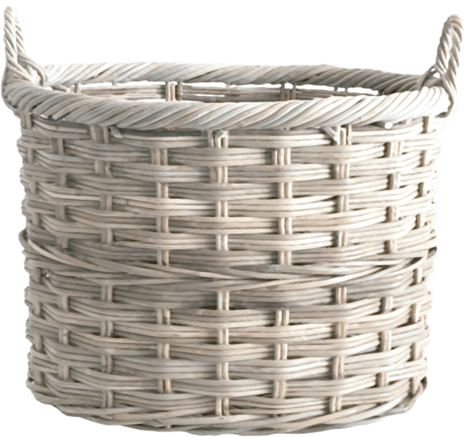 Tempore consequatur temporibus